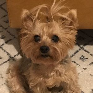 Meet your Posher, Alma